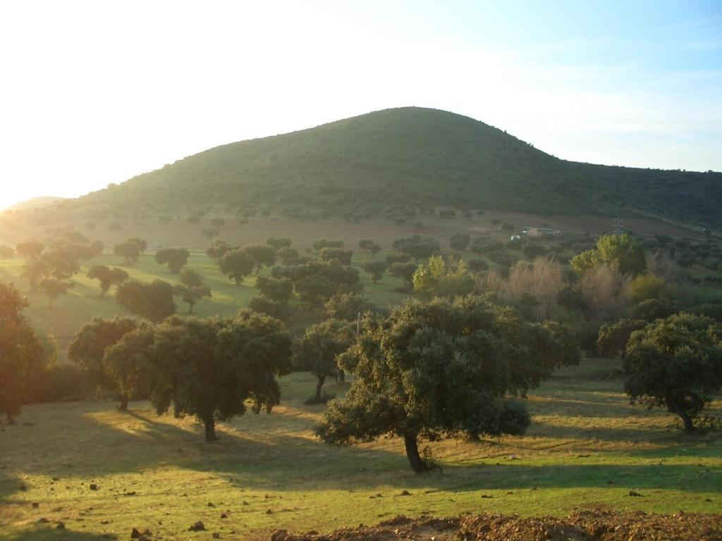 Cortijo El Criadero El Hoyo 部屋 写真