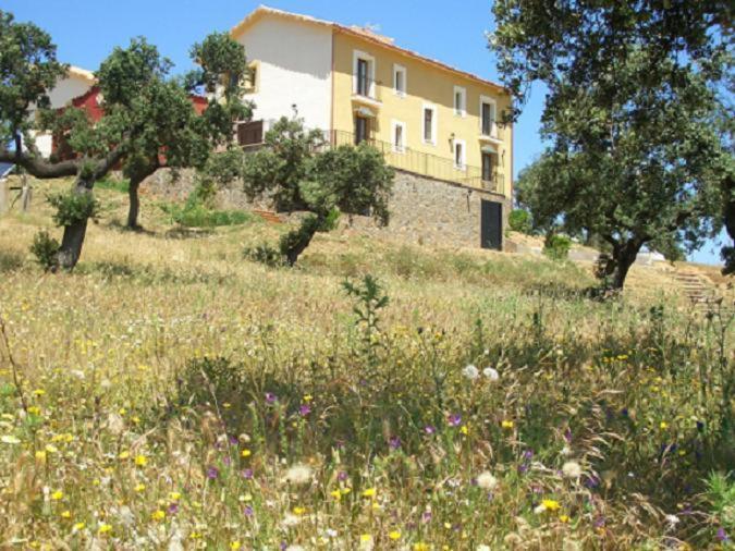 Cortijo El Criadero El Hoyo エクステリア 写真